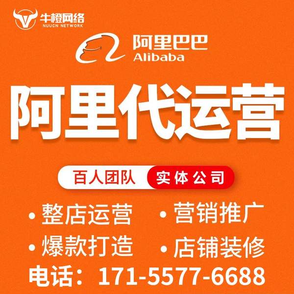 金华电商代运营