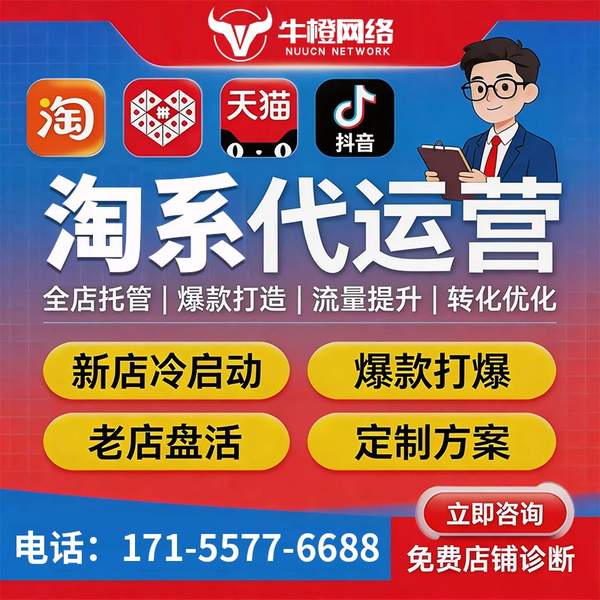 金华电商代运营