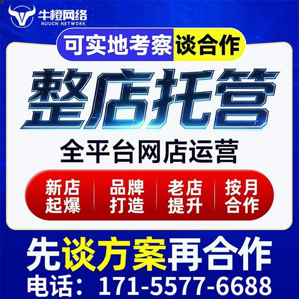 金华电商代运营