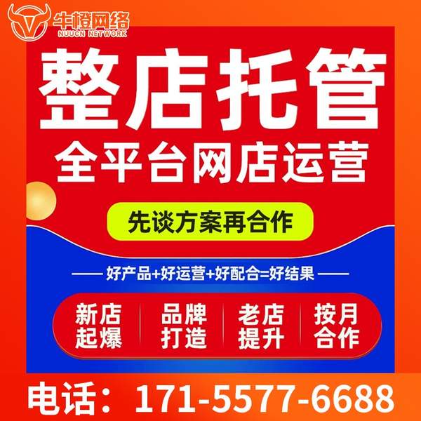 金华电商代运营
