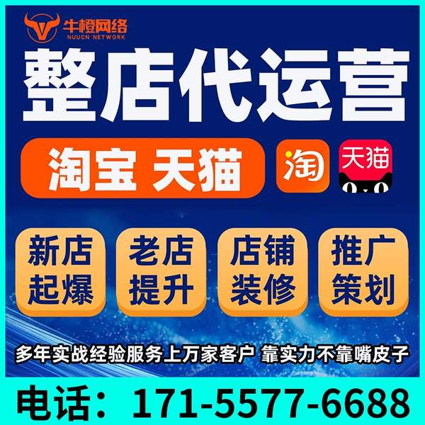 金华电商代运营