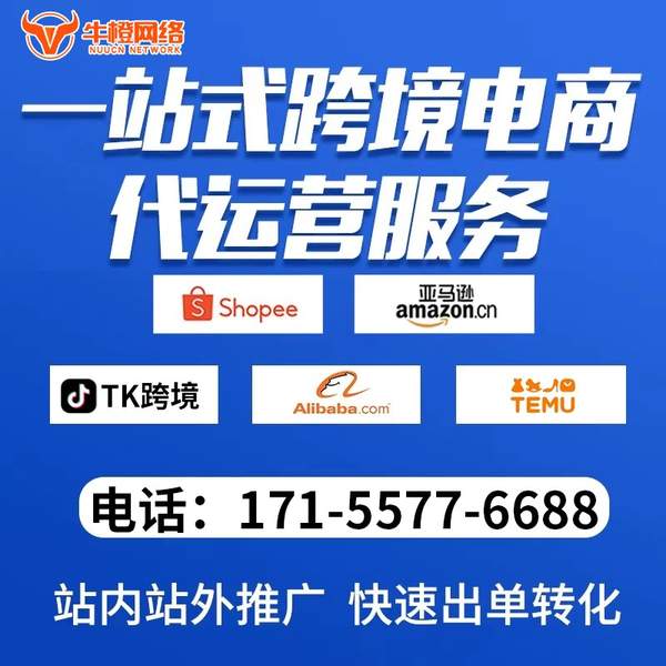 金华电商代运营