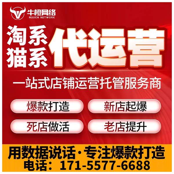 金华电商代运营